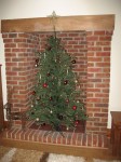 Christmas at Barcud Lodge