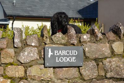 Barcud Lodge, Gower